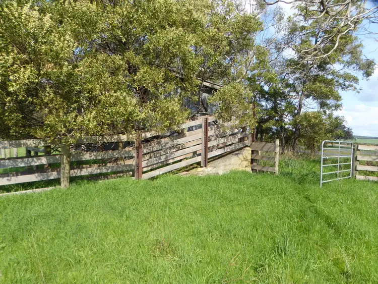 Third view of Homely rural property listing, 401 Tyrendarra-Ettrick Road, Tyrendarra VIC 3285