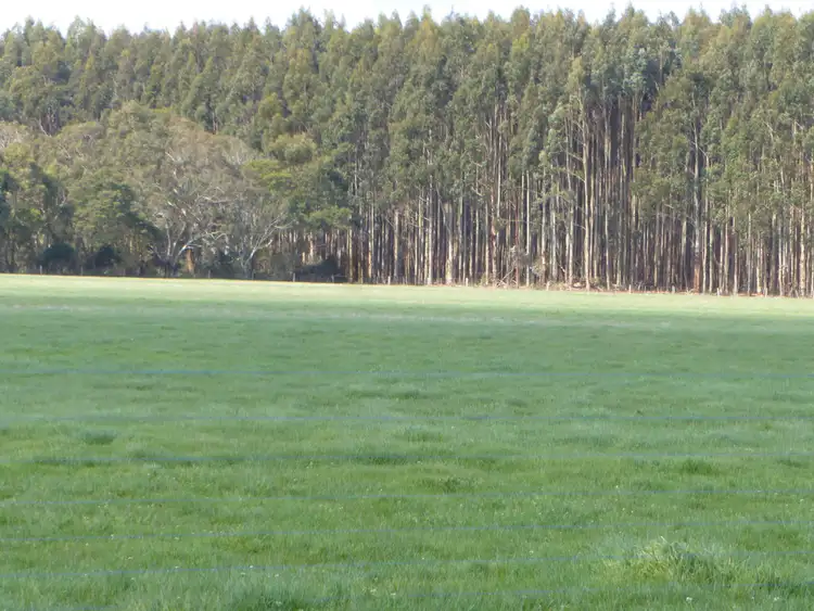 Sixth view of Homely rural property listing, 401 Tyrendarra-Ettrick Road, Tyrendarra VIC 3285