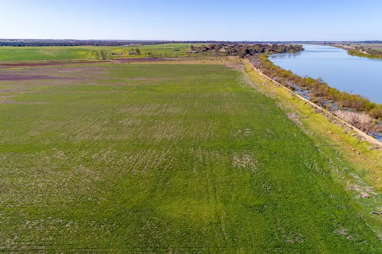 Fifth view of Homely rural property listing, 8306 Princes Highway, Tailem Bend SA 5260