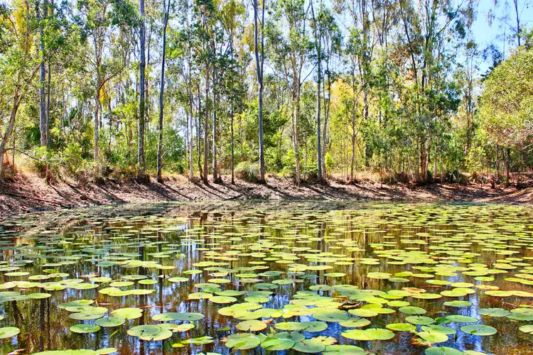 Fifth view of Homely land listing, 251 Innamincka Way, Agnes Water QLD 4677