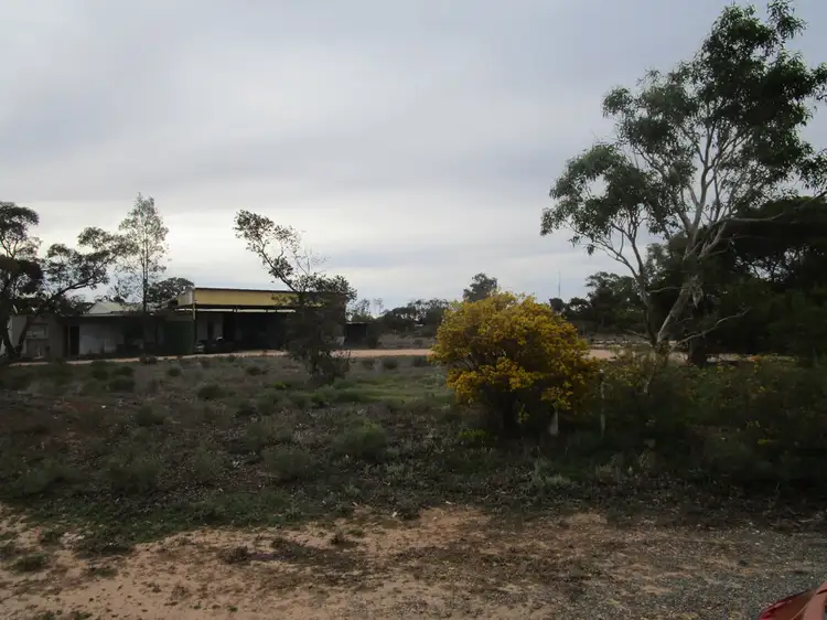 Main view of Homely land listing, 124 Caddy Road, Barmera SA 5345