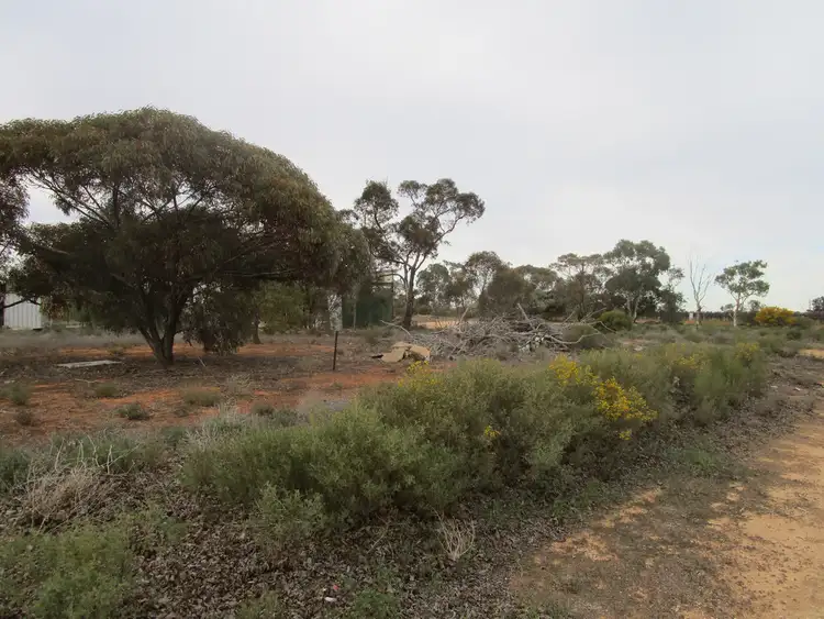 Third view of Homely land listing, 124 Caddy Road, Barmera SA 5345