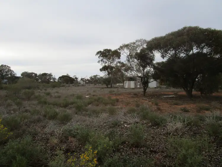 Fourth view of Homely land listing, 124 Caddy Road, Barmera SA 5345
