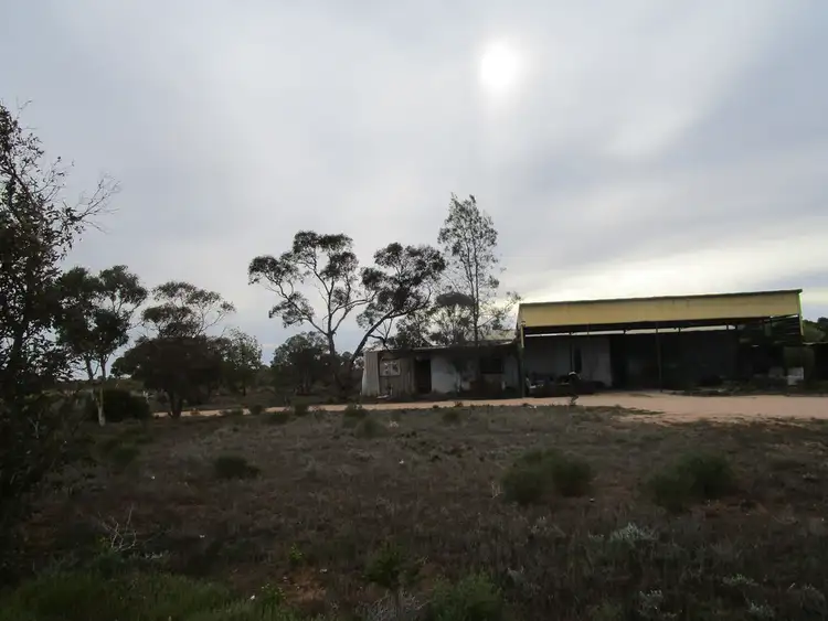 Fifth view of Homely land listing, 124 Caddy Road, Barmera SA 5345