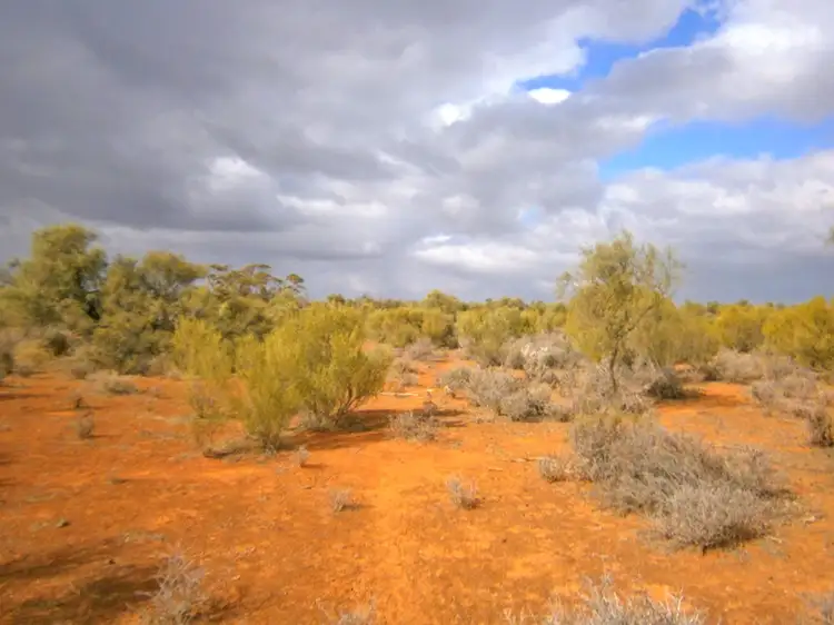 Third view of Homely rural property listing, Section 416, Eba Vale Road, Morgan SA 5320