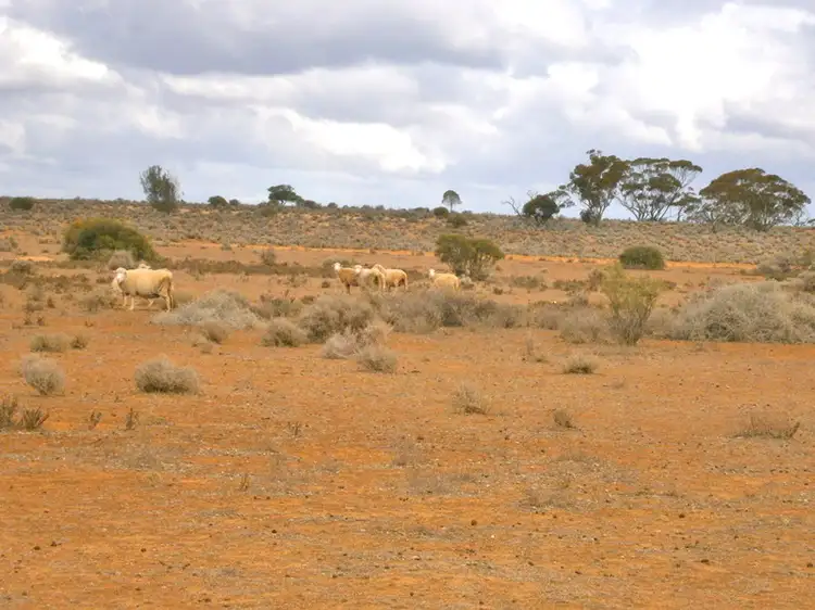 Fourth view of Homely rural property listing, Section 416, Eba Vale Road, Morgan SA 5320