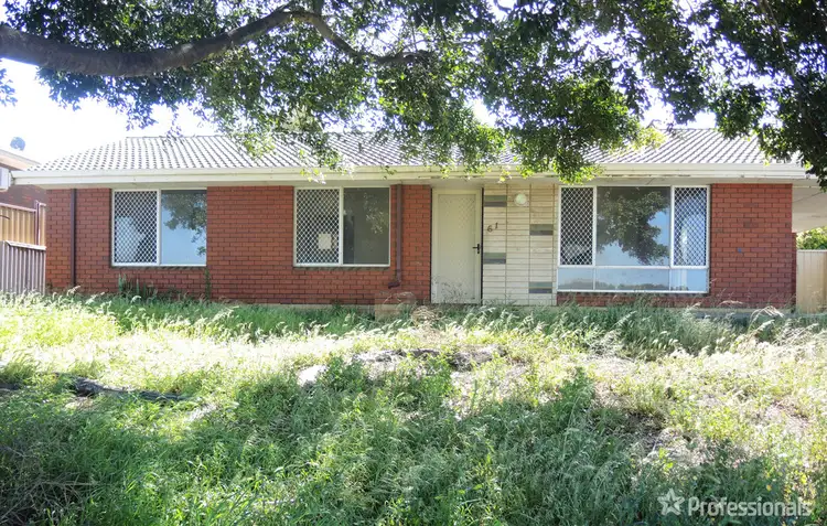 61 Ainsworth Street, Geraldton WA 6530