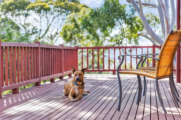 Sixth view of Homely house listing, 18 Kookaburra Court, Willunga SA 5172