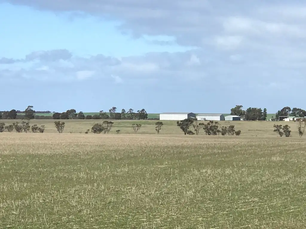 Main view of Homely rural property listing, 424 Challis Road, Pingrup WA 6343