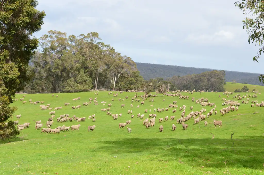 Main view of Homely rural property listing, 3543 Donnybrook-Boyup Brook Road, Noggerup WA 6225