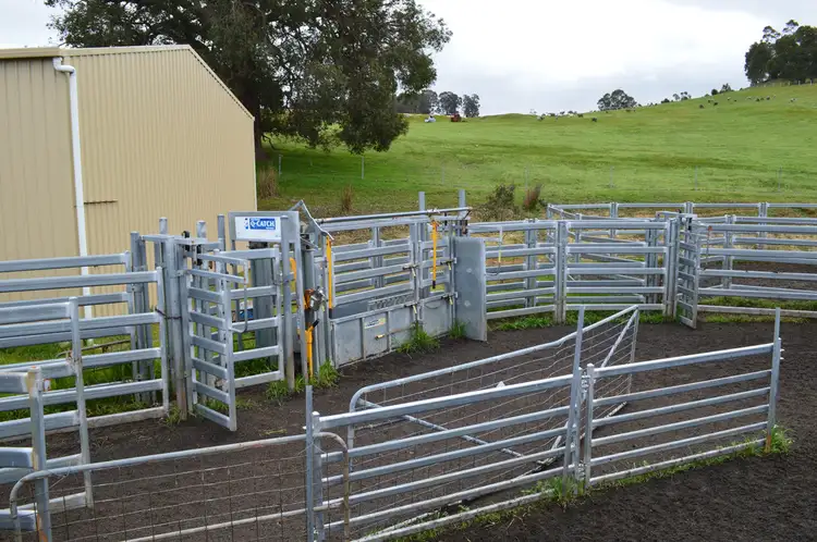 Seventh view of Homely rural property listing, 3543 Donnybrook-Boyup Brook Road, Noggerup WA 6225