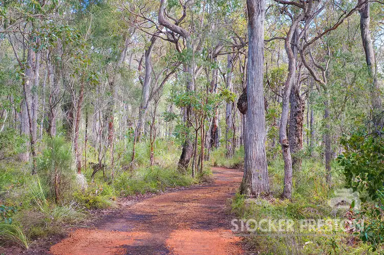 Third view of Homely house listing, 502 Commonage Rd, Quindalup WA 6281