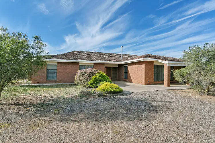 Main view of Homely house listing, 50 Thiele Road, Murray Bridge SA 5253