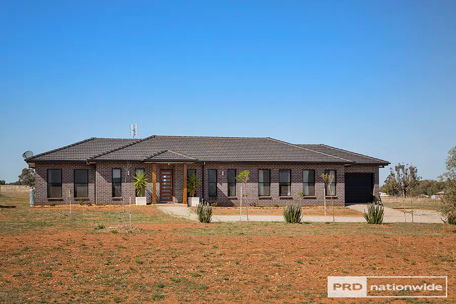 Main view of Homely house listing, 20 Horseshoe Place, Tamworth NSW 2340