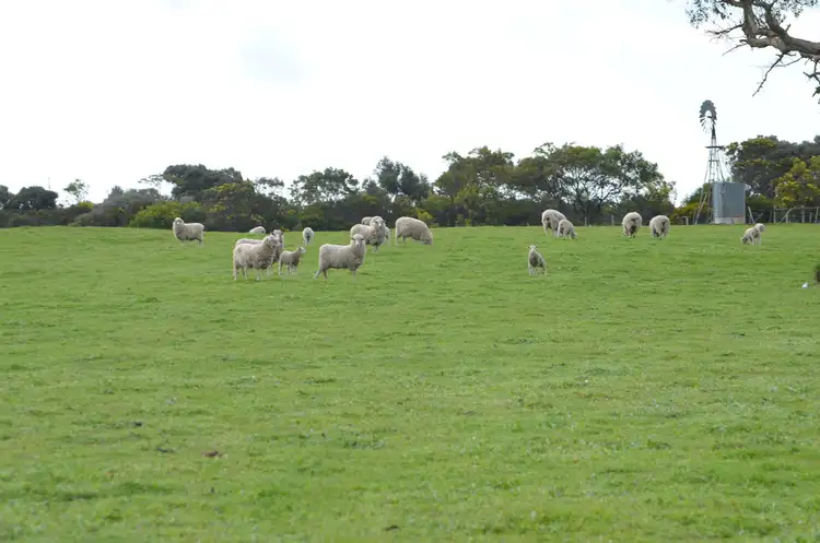 Seventh view of Homely rural property listing, Lot 28 Clay Wells Road, Robe SA 5276