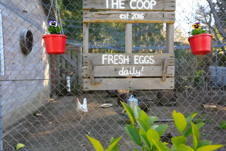 Sixth view of Homely house listing, 1280 Nowra Road, Fitzroy Falls NSW 2577