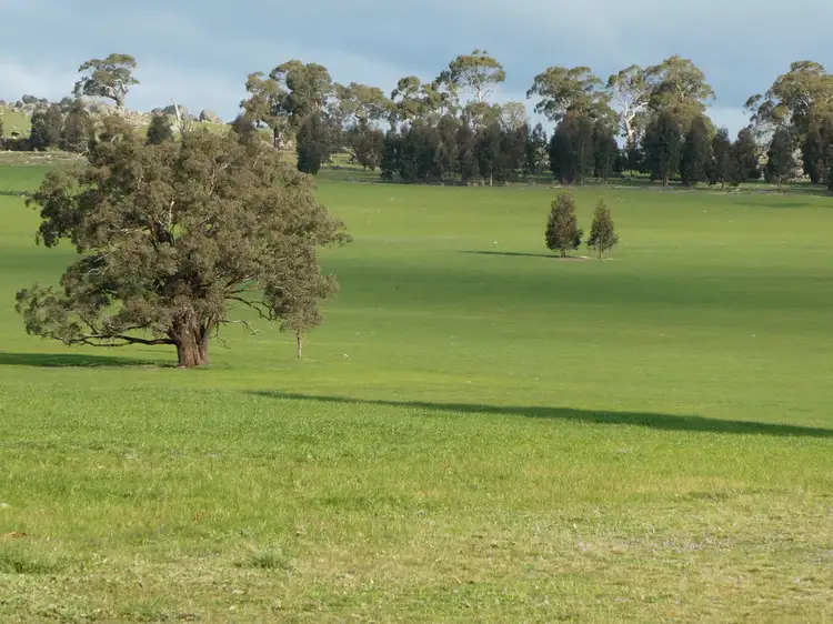 Second view of Homely other listing, Lot 1 Reids Road off Coutts Rd, Waubra VIC 3352