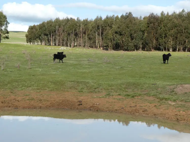 Third view of Homely other listing, Lot 1 Reids Road off Coutts Rd, Waubra VIC 3352
