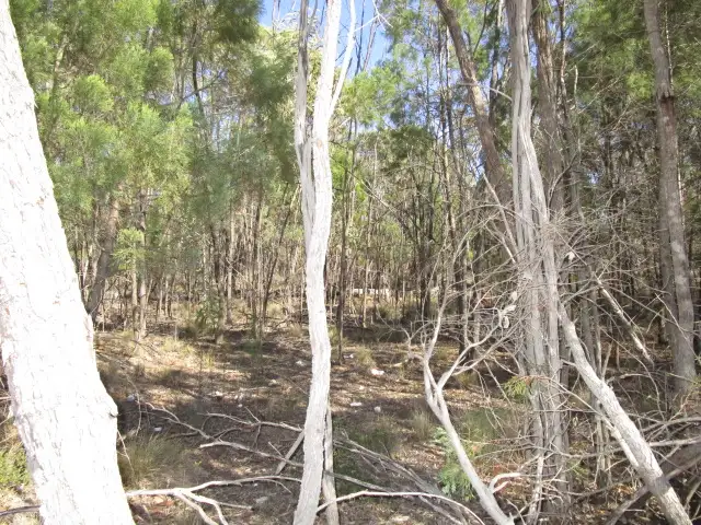 LOT 52 BUNGYBAH ROAD, Tara QLD 4421