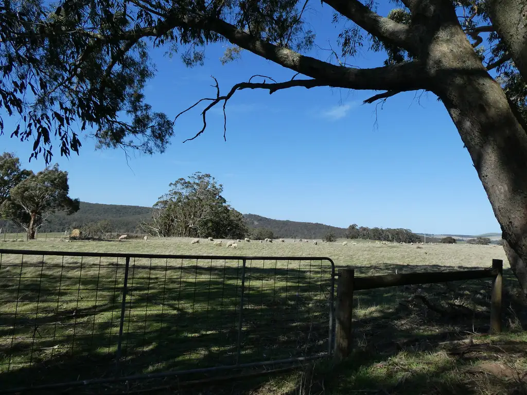 Main view of Homely rural property listing, 570 Ballan-Daylesford Road, Bunding VIC 3342