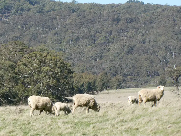 Fifth view of Homely rural property listing, 570 Ballan-Daylesford Road, Bunding VIC 3342