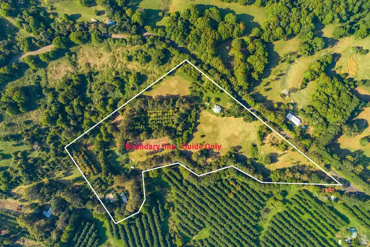 Third view of Homely rural property listing, 2513 Dunoon Road, Rosebank NSW 2480