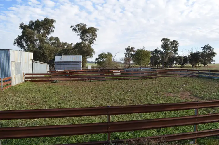 Fourth view of Homely rural property listing, 23 Stewarts Lane, Ardlethan NSW 2665