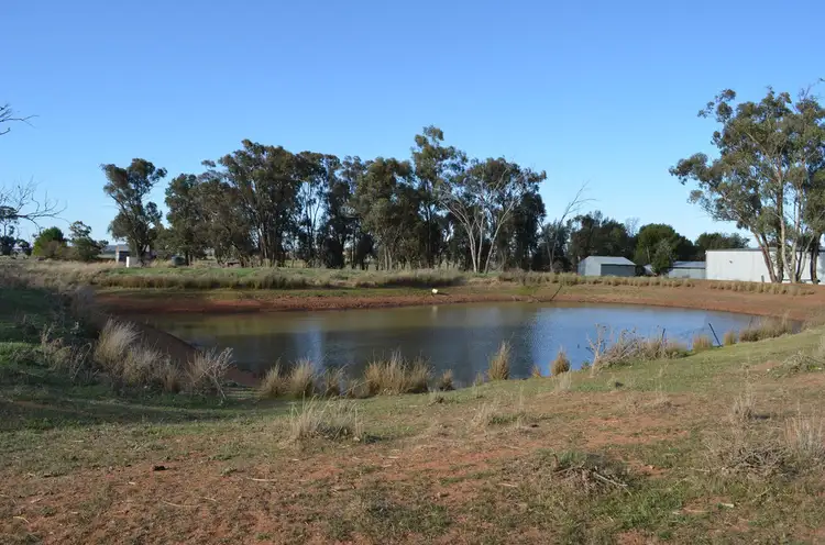 Fifth view of Homely rural property listing, 23 Stewarts Lane, Ardlethan NSW 2665
