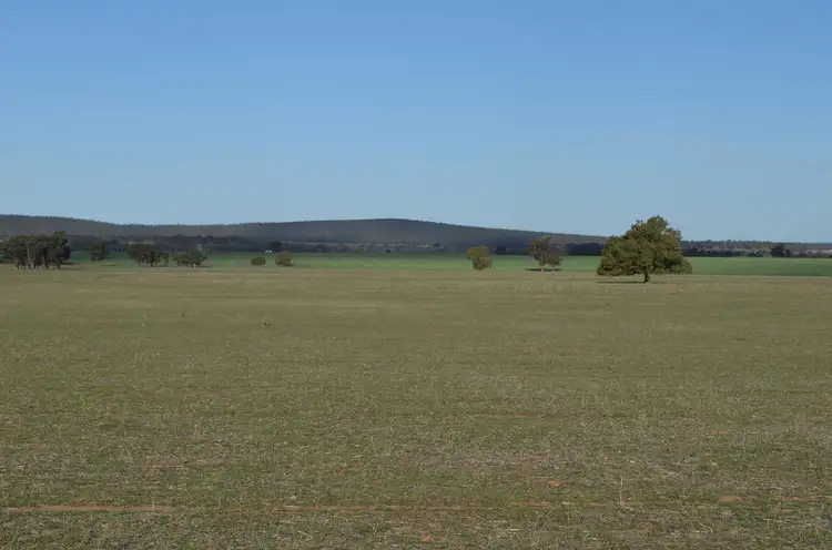 Sixth view of Homely rural property listing, 23 Stewarts Lane, Ardlethan NSW 2665