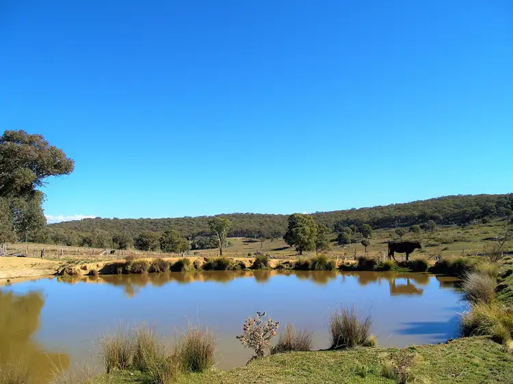 Second view of Homely rural property listing, 1807 Triangle Flat Road, Triangle Flat NSW 2795