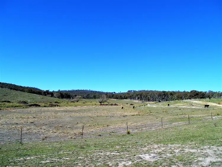 Third view of Homely rural property listing, 1807 Triangle Flat Road, Triangle Flat NSW 2795