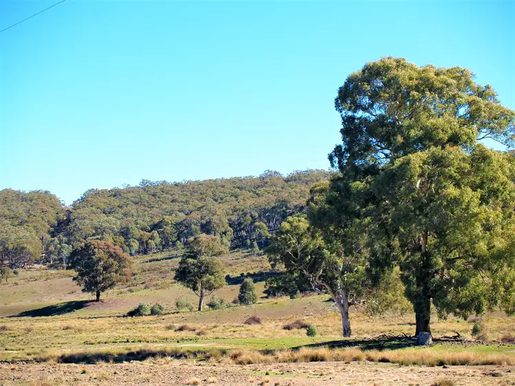 Fifth view of Homely rural property listing, 1807 Triangle Flat Road, Triangle Flat NSW 2795