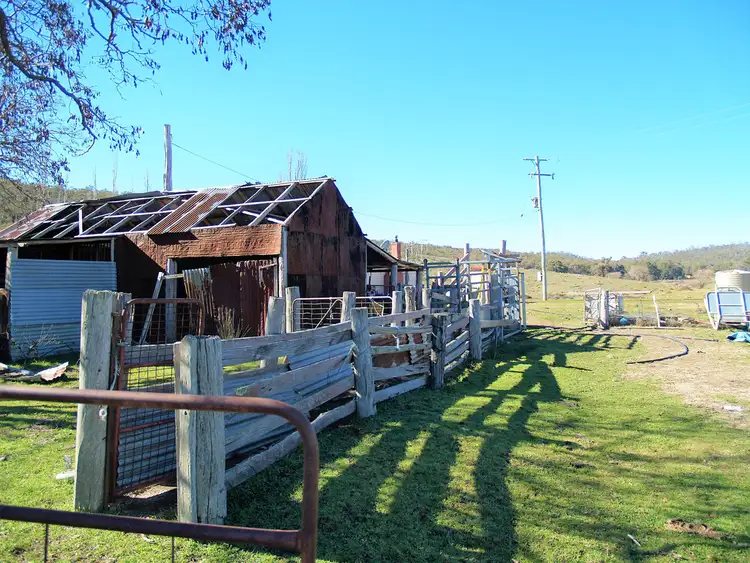 Seventh view of Homely rural property listing, 1807 Triangle Flat Road, Triangle Flat NSW 2795