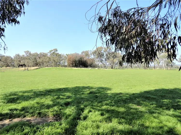 Seventh view of Homely rural property listing, 541 Black Dog Creek Road, Chiltern VIC 3683