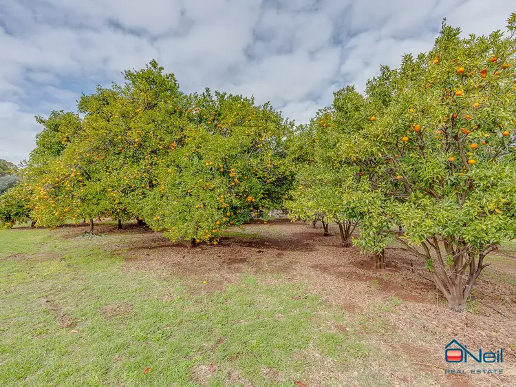Third view of Homely house listing, 111 Marmion Street, Kelmscott WA 6111