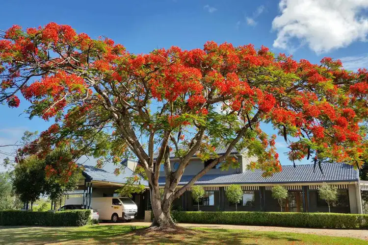 Third view of Homely house listing, 2 PRINCESS PLACE, Tallai QLD 4213