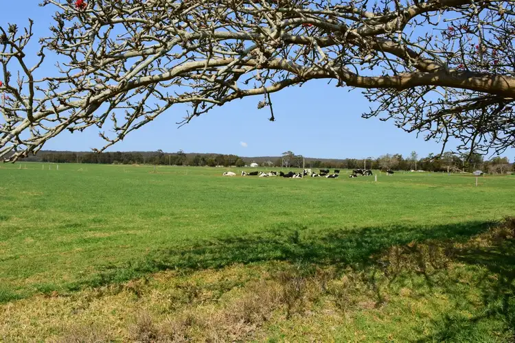 Second view of Homely land listing, Lot 13 DP 1099366 & Lot 11 DP 1222172 Bournes Lane, Pyree NSW 2540