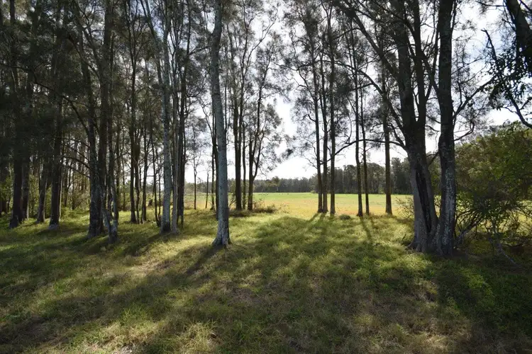 Seventh view of Homely land listing, Lot 13 DP 1099366 & Lot 11 DP 1222172 Bournes Lane, Pyree NSW 2540