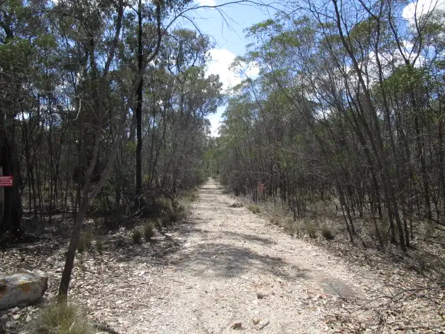 Main view of Homely rural property listing, LOT 204 MALES DRIVE, Tara QLD 4421