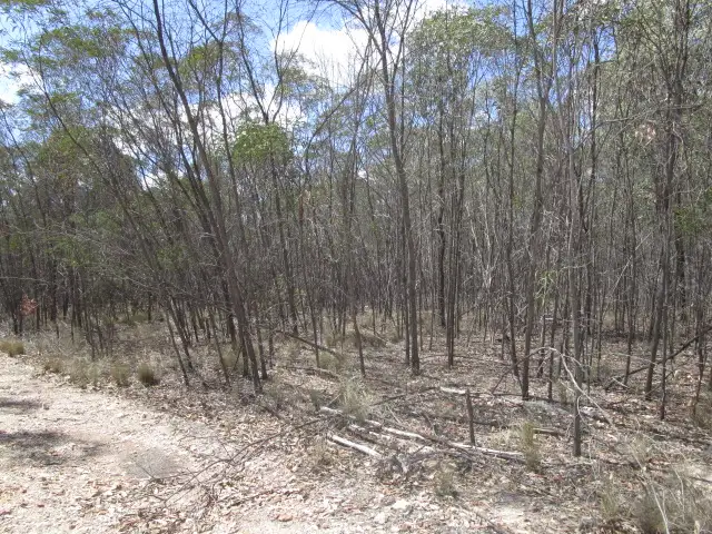 Second view of Homely rural property listing, LOT 204 MALES DRIVE, Tara QLD 4421