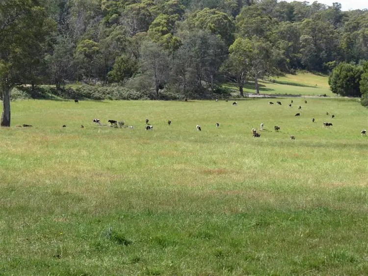 Fifth view of Homely land listing, 50 Native Rock Road, Railton TAS 7305