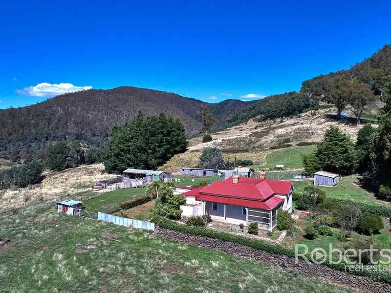 Main view of Homely rural property listing, 543 Mathinna Plains Road, Ringarooma TAS 7263