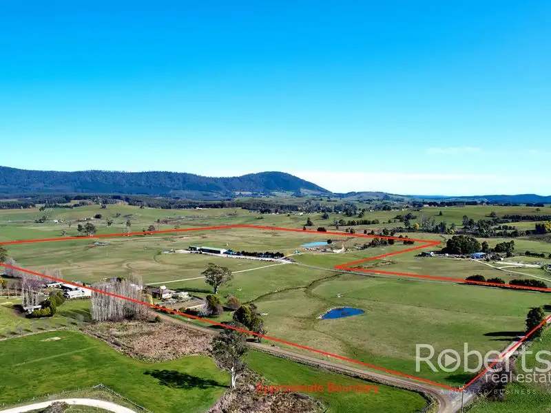 Main view of Homely rural property listing, 193 Pennells Road, Scottsdale TAS 7260