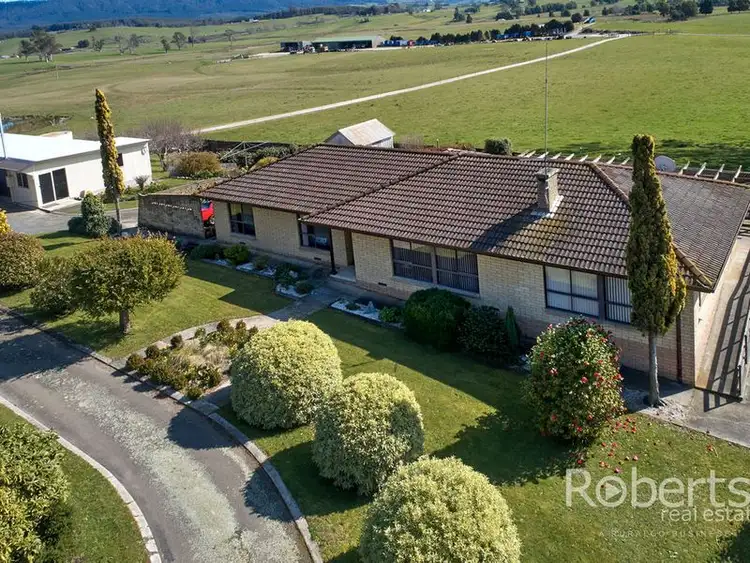 Third view of Homely rural property listing, 193 Pennells Road, Scottsdale TAS 7260