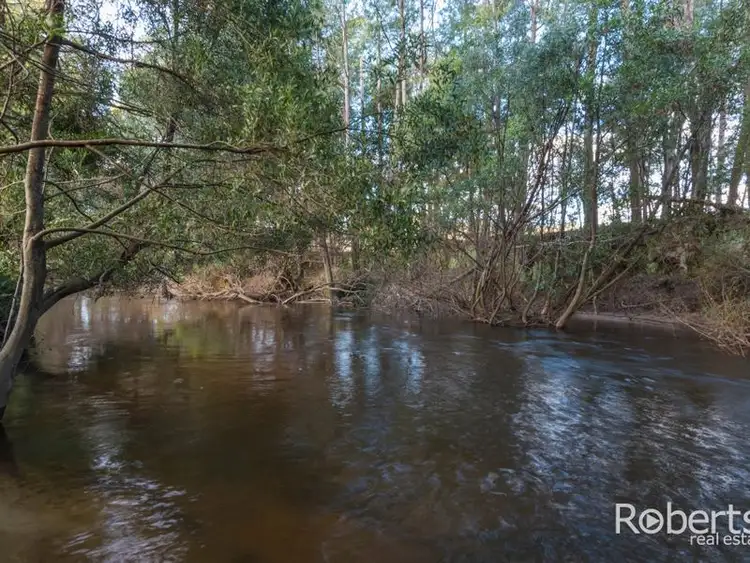 Fourth view of Homely house listing, 397 Jensens Road, Scottsdale TAS 7260