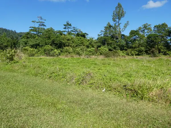 Main view of Homely rural property listing, Address available on request