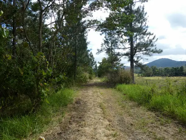 Second view of Homely rural property listing, Address available on request