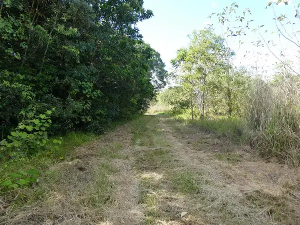 Sixth view of Homely rural property listing, Address available on request
