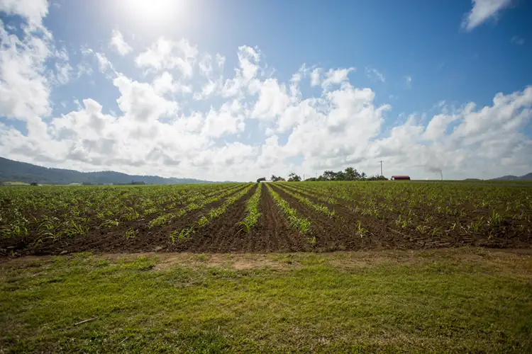 Sixth view of Homely house listing, 126 Trevaskis Road, Farleigh QLD 4741