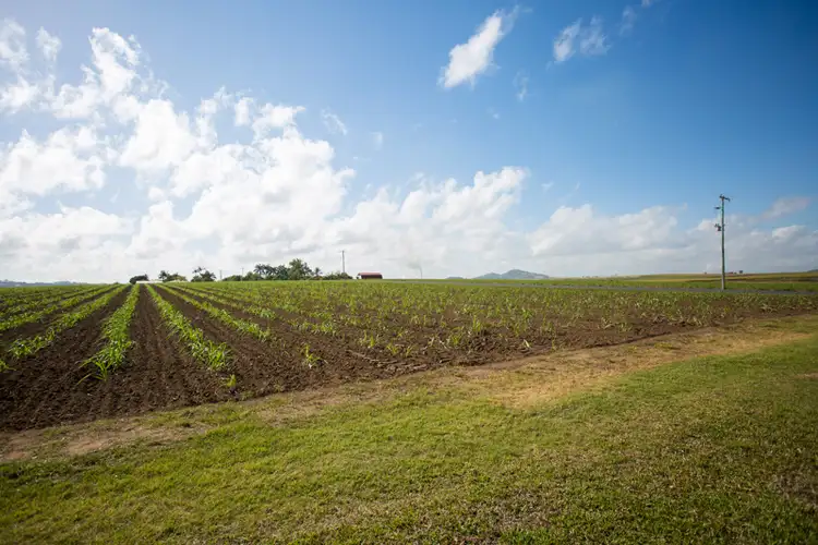 Seventh view of Homely house listing, 126 Trevaskis Road, Farleigh QLD 4741